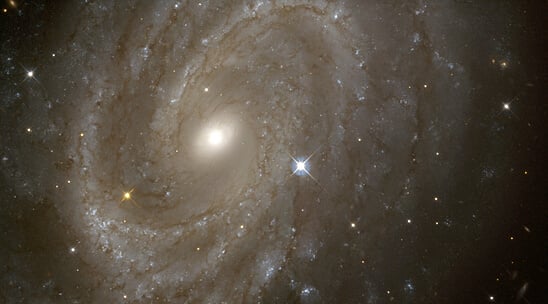 Variable Stars in a Distant Spiral Galaxy (NGC 4603)